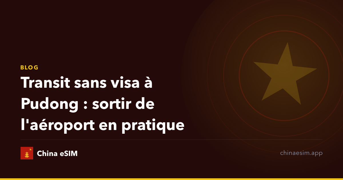 Transit sans visa à Pudong : sortir de l'aéroport en pratique