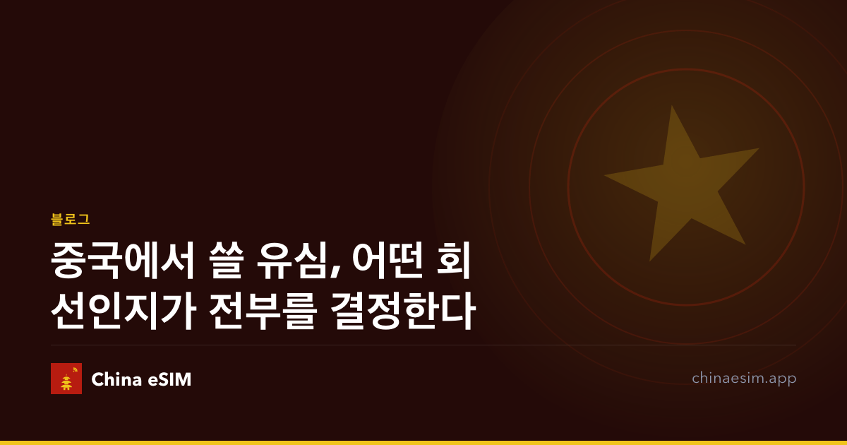 중국에서 쓸 유심, 어떤 회선인지가 전부를 결정한다