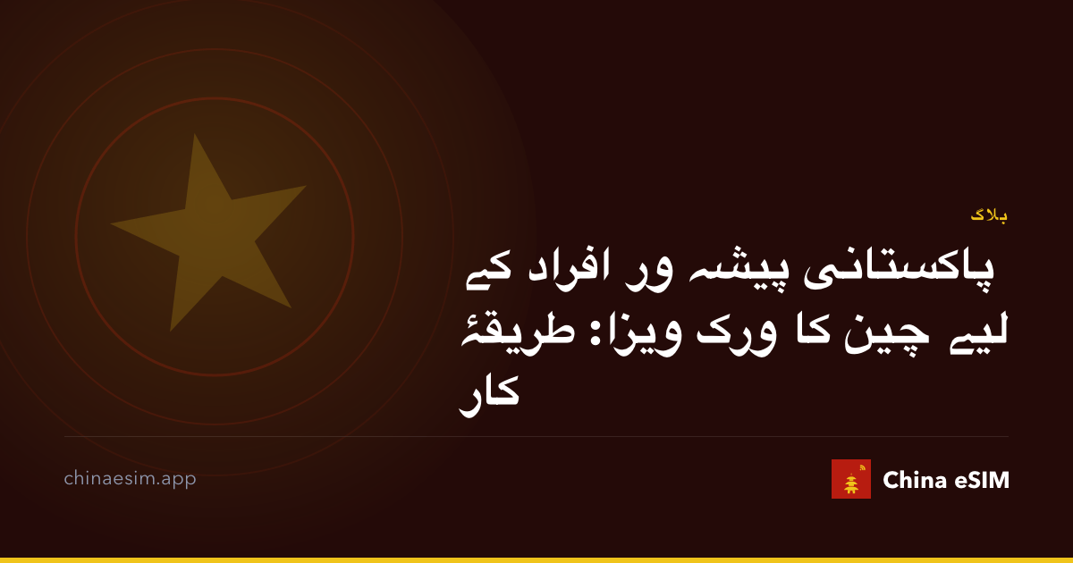 پاکستانی پیشہ ور افراد کے لیے چین کا ورک ویزا: طریقۂ کار