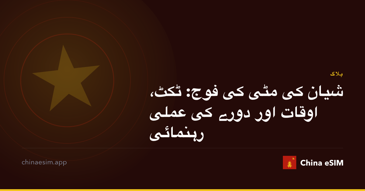 شیان کی مٹی کی فوج: ٹکٹ، اوقات اور دورے کی عملی رہنمائی